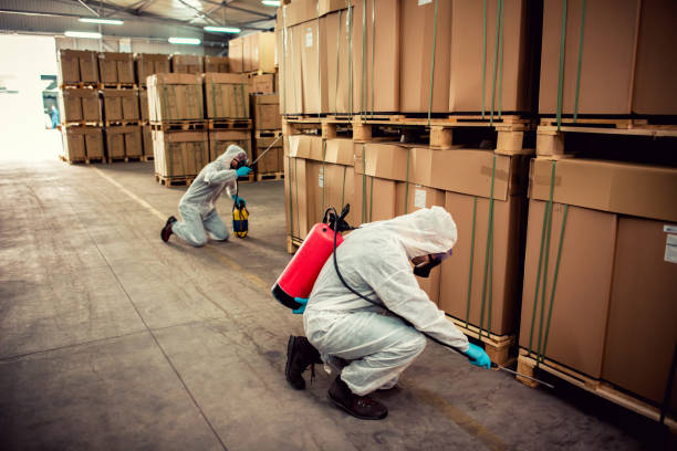 Best Exterminator Services  in Balch Springs, TX
