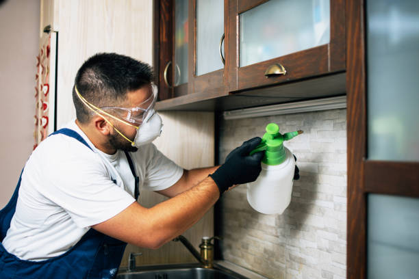 Best Commercial Pest Control Services  in Balch Springs, TX